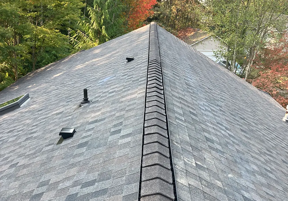 roofing-suruka04