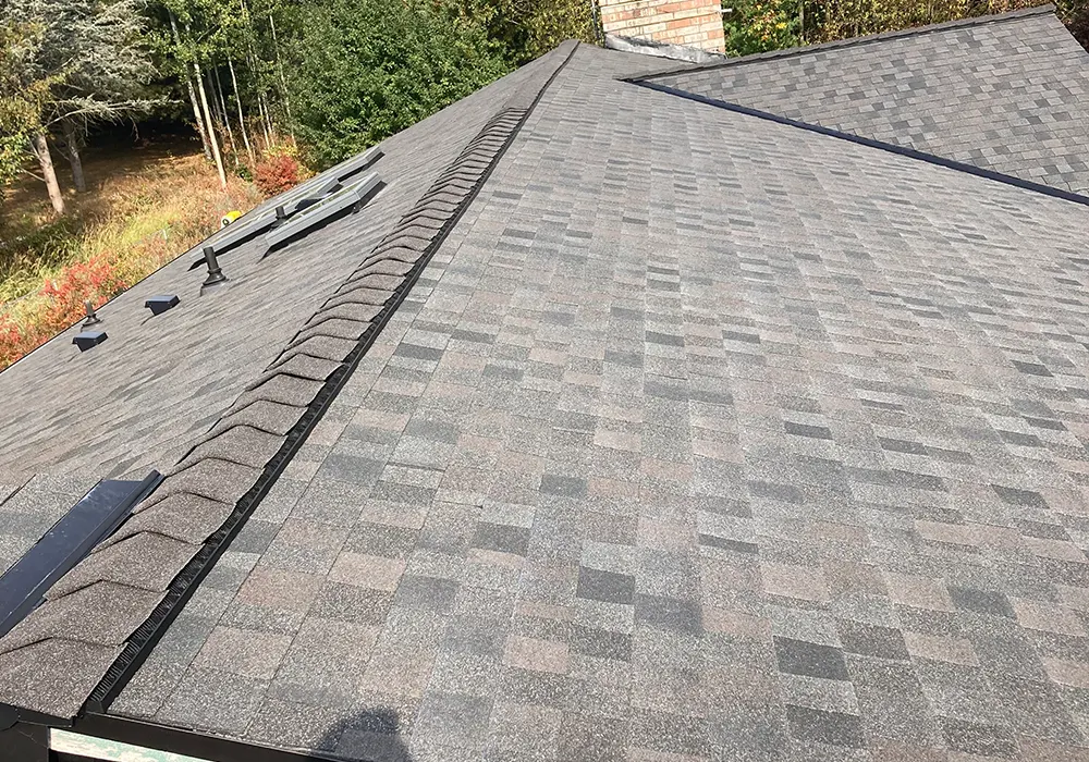 roofing-suruka05