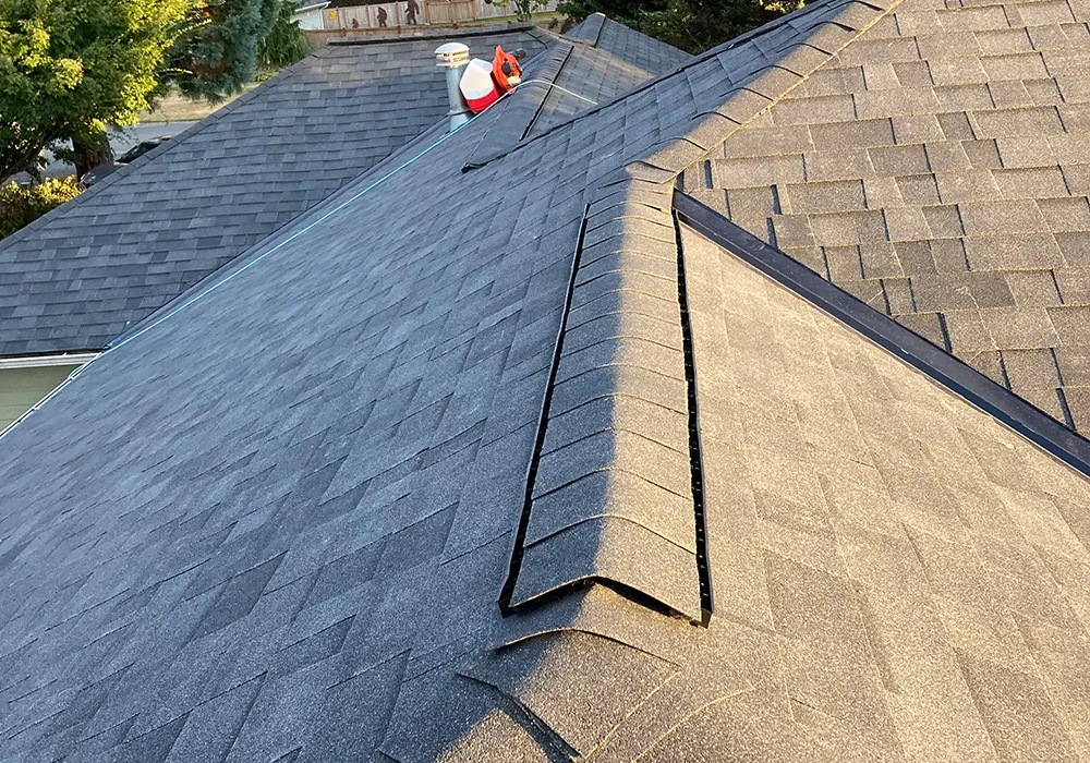 roofing-suruka06